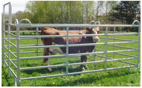 Panneaux de clôture pour animaux de cheval, 8, 16 pieds, ovales, adapté au animalier, vache, mouton, fixe
