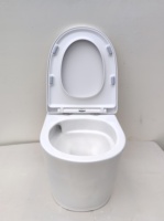 Europe toilette murale sans rebord toilette flottante wc suspendu complet salle de bain toilette suspendue