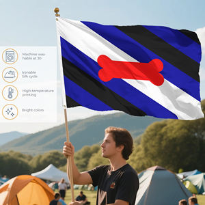 Banderas del Orgullo de 3x5 pies, Colección de más de 20 identidades, incluyendo Bisexual, Asexual, No Binario, <span class=keywords><strong>Bear</strong></span> y Bandera del Arcoíris del Progreso para Desfiles - Product Image 4