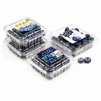 Herbruikbare PET transparante plastic doos voor blauwe bessen, geventileerde clamshell voor vers fruit, aardbeien, frambozen, groothandelsverpakking