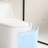 Ensemble de toilette monobloc en céramique à double chasse d'eau Réservoir dissimulé Articles sanitaires en marbre de couleur personnalisée P-Trap Drainage WC Accessoire de salle de bain