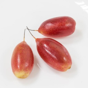 Extracto de Fruta Milagrosa Orgánica Liofilizada, Venta al por Mayor de Productos Agrícolas - Product Image 4