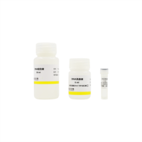 Kit de micro-extraction rapide d'ARN, kit de colonne de centrifugation pour l'isolation totale de l'ARN pour les cellules, les tissus, le sang, les plantes et les bactéries