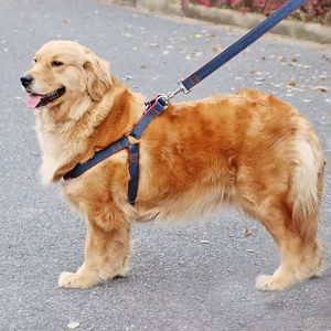 JANYO Nuevo Diseño Contraste Color Denim Cuerda Perro Correa - Product Image 5