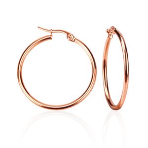 Boucles d'oreilles pour femmes, bijoux en acier inoxydable, boucles d'oreilles créoles pour filles, bijoux - Product Image 1