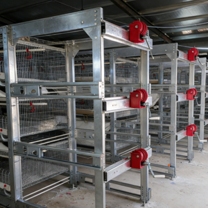 Jaulas para Pollos de Tipo H Automáticas de Múltiples Niveles, 3/4 Niveles, Capacidad para 60-80 Aves, Ahorro de Espacio, Alimentación Separada, Compactas, Fáciles de Operar - Product Image 1