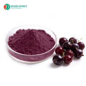 Herbspirit - suco de frutas em pó de manga de açaí orgânico liofilizado solúvel em água, extrato de manga de açaí em pó com 25% de antocianidinas - Product Image 1