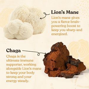 Café de Champiñones Orgánico Four Sigmatic en Polvo <span class=keywords><strong>Instant</strong></span>áneo con Melena de León, Chaga y Rhodiola para Energía y Soporte Inmunológico - Product Image 5