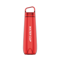 Bouteille d'eau Tritan 740 ml, bouteille de sport avec poignée de transport, bouchon côtelé pour la salle de sport, les voyages, le bureau, le camping, les activités de plein air