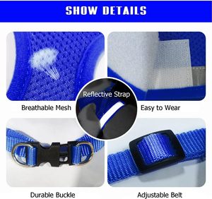Harnais de type gilet pour animaux de compagnie en maille respirante pour chiens et chats, laisse de traction pour animaux, collier pour chat, harnais de poitrine et de dos pour animaux - Product Image 4