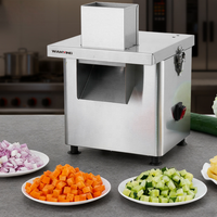 Elektrische golfmes aardappelreepjes snijmachine frietmachine roestvrijstalen duwer 110V multifunctionele snijmachine CE