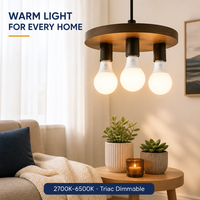 Ampoule LED AC120V A19 Dimmable Sans Scintillement 7W 8W 9W 2700K 6500K 60 116mm pour Éclairage Intérieur Domestique