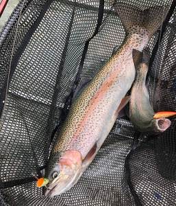 Leurre de pêche à la traîne personnalisé pour saumon et <span class=keywords><strong>truite</strong></span> en haute mer - Product Image 4