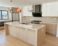 Cuisine moderne modulaire à panneaux plats bicolore avec îlot de cuisine et plan de travail en quartz pour la rénovation de maisons résidentielles