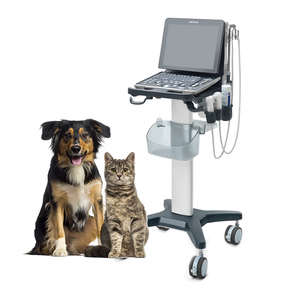 Sistema de ultrasonido Doppler a color portátil para veterinarios Mindray, máquina de ultrasonido veterinario Z60, dispositivos de diagnóstico por imágenes Z70, <span class=keywords><strong>veterinaria</strong></span> - Product Image 1