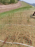 Couverture en fibre de coco pour la protection des pentes et le contrôle de l'érosion