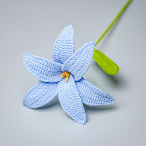 Flores Tejidas a Mano, Ramo <span class=keywords><strong>de</strong></span> Flores <span class=keywords><strong>de</strong></span> Ganchillo Hecho a Mano <span class=keywords><strong>para</strong></span> Regalo <span class=keywords><strong>de</strong></span> Novia - Product Image 6