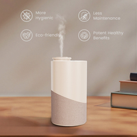 Diffuseur d'huiles essentielles sans eau, diffuseur d'arômes électrique rechargeable à brume fraîche pour voiture