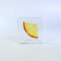 Natuurlijke Specimen Fruitplakjes Geconserveerd In Hars Epoxy Transparante Vlot Hars Pitaya Taxidermie