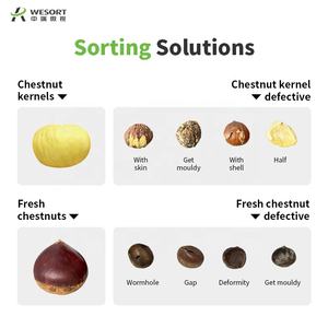 Macchina Selezionatrice Multifunzionale WESORT per Castagne, Selezionatrice a Specchio a Quattro Viste per Separazione Efficiente - Product Image 4