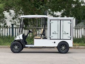 รถกอล์ฟขับเคลื่อน4ล้อไฟฟ้า4X4รถตู้ขนาดเล็ก24V 48V 60V 4X4ผู้ใหญ่ - Product Image 6