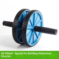 Rouleau d'entraînement abdominal silencieux à double roue en plastique léger et pliable pour débutants, avec emballage de support pour usage domestique pour hommes