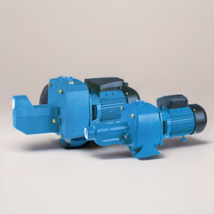 बड़े प्रवाह उच्च लिफ्ट भारी शुल्क जुड़वां पीतल के इंपेलर्स ने लोहे की गहरी स्व-प्रिमिंग पंप डाली - Product Image 3