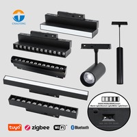 Sistem Rel Lampu LED Magnetik Tersembunyi DC48V dengan Sakelar CCT yang Dapat Disesuaikan dan Diredupkan, Kontrol Lampu Pintar Tuya WiFi 2.4G