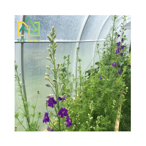 Tunnelhouse de Style néo-zélandais pour abri de plantes d'arrière-cour serre maison jardin Mini Kits de maison verte couverture avec Film plastique - Product Image 3