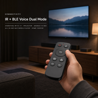 Remote Kontrol Suara IR BLE 13 Tombol untuk TV Proyektor RCT4013 Kontrol Satu ke Satu OEM ODM
