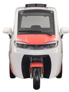 LYLGL mobil motor elektrik roda 3, mobil motor elektrik dengan kabin berkendara/skuter listrik tertutup dengan kursi penumpang/kargo sepeda roda tiga untuk dewasa