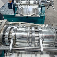 Machine à huile de tournesol 6LY-100 haute efficacité pour usage domestique et industriel, entièrement automatique avec contrôle numérique de la température