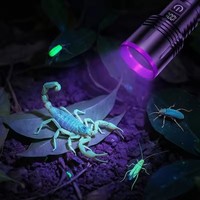 Lampe torche UV portable 365 nm avec filtre noir, rechargeable par USB, 20 W, pour l'inspection de la porcelaine, du jade et les tests de traces fluorescentes