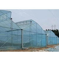 Serres commerciales Gutter Connect, serres personnalisées en Chine pour la plantation, serres agricoles