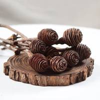 Cabang Buah Spiral Afrika Kering Tahan Lama Dekorasi Ruang Tamu Minimalis Bahan Pembuatan Buket DIY