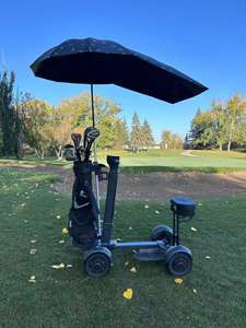 Scooter <span class=keywords><strong>de</strong></span> golf électrique 4 roues Loyal, scooters électriques <span class=keywords><strong>pas</strong></span> chers, 2000W, double moteur, tout-terrain, pliable, pour adultes - Product Image 1