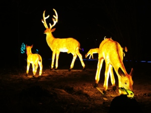 Estatua Decorativa de Reno Navideño de Fibra de Vidrio con Luces LED para Parque, Jardín y Mercado Navideño - Product Image 1