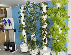 Système de tour hydroponique et aéroponique vertical à 36 plantes avec pompe et circulation d'eau automatisée pour légumes-feuilles - Product Image 4