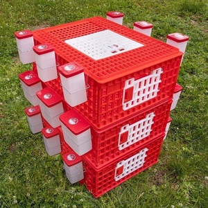 Kandang ayam transportasi 3 pintu kandang kandang merpati ayam puyuh - Product Image 5