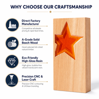 Plakat Penghargaan Kayu Kustom Resin Birch Solid Bintang Kreatif Otorisasi Merek Suvenir Pertandingan Olahraga Grosir