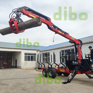 Máquina Forestal DIBO de Servicio Pesado para Carga de Troncos, Remolque 4x4 de 10 Toneladas, Tipo L, Tipo Z, Grúa de 360° con Pinza, Accionamiento PTO, Grúa para Madera de 1900 kg - Product Image 2