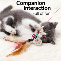 Bâtonnet interactif pour chat en fil d'acier avec plume, long et élastique, résistant aux morsures, pour jeu autonome