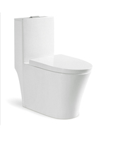 Hôtel projet Salle De Bain sanitaire siphonic une pièce wc toilettes taille