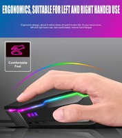 Most Competitive RGB Gaming Mouse LED Optical Ergonomic Design USB Wired Right-handed Compatible Laptops Desktops FCC Certified