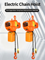 Palans électriques à chaîne avec chariot, neufs, en métal, capacité 5 tonnes, 380V/220V, OEM accepté, pour hôtels