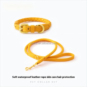 Venta al por mayor personalizado perro <span class=keywords><strong>collar</strong></span> Correa conjunto de cuero trenzado mascota cuerda para caminar cintas de moda para perros pequeños medianos - Product Image 4