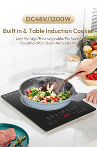 Cocina de inducción recargable solar de 1200W con placa de cocina integrada para casa, estación de carga de coche marino, uso en cocina al aire libre - Product Image 6