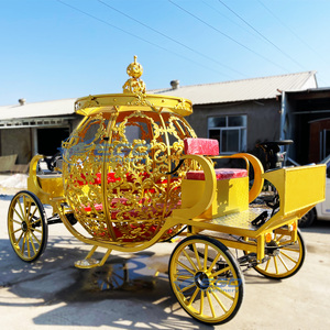 Carruaje de Cenicienta en Venta, Transporte Especial, Carruaje de Fantasía de Princesa Calabaza, Carruaje Eléctrico en Venta - Product Image 6