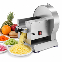 Zware professionele elektrische groentesnijmachine van roestvrij staal, gemotoriseerd, voor aardappelen, uien, citroenen, fruit en voedsel.