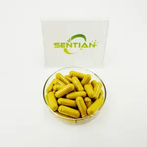 Berberine תמצית 500mg כמוסות berberine תוספי berberine תוספי